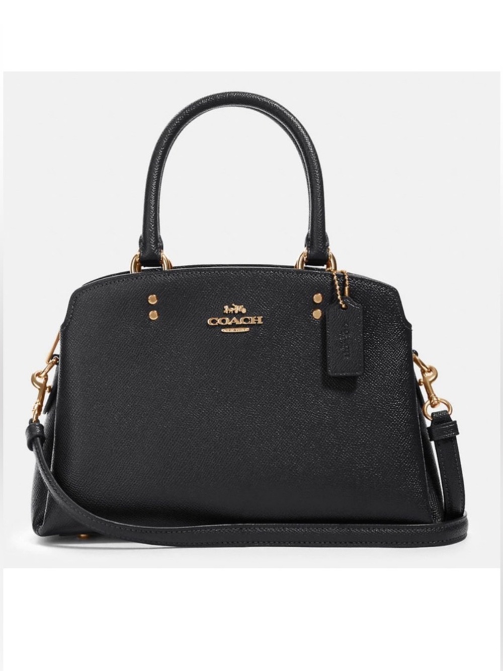 Coach Mini Carryall Bag